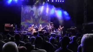 Allman Brothers  Thats What Love Will Make You Do Wanee 2014 [upl. by Lada467]