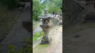 Stunning Miyajima Island ourlifeinjapan travel japaneselife japantravelvlog japanesetravel [upl. by Nyladam]