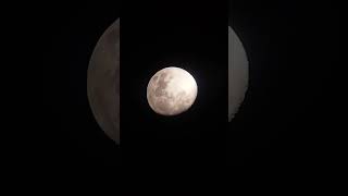 Shortest moon clip ever with a telescope and mobile [upl. by Orgell889]