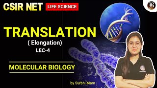 Translation  Elongation Step  Lec04 Molecular Biology  CSIR NET Life science GATE XL [upl. by Yehsa]