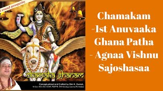 Chamaka Ghanam  Agnaa Vishnu Sajoshasa  1st Anuvaaka  Script  KSuresh  Sacred Vedic Chant [upl. by Eitteb]