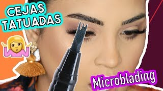 Microblading en casa para tener cejas perfectas  Productos nuevos de maquillaje [upl. by Yrrem]