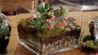 Terrariums  Glam It Yourself [upl. by Stutman272]