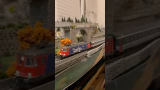 Towards Gotthard Tunnel rock modeltrains [upl. by Eiramanit]