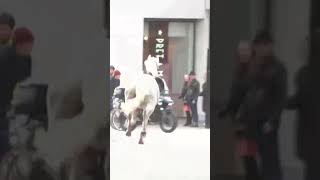 Moment escaped Household Cavalry horses rampage through London [upl. by Ycnay]