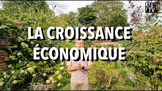 Les sources et les défis de la croissance économique [upl. by Airamesor]