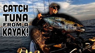 How to Catch BLACKFIN TUNA from a KAYAK Navarre Beach Kayak Fishing [upl. by Novah]