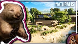 Building an Amazing Wombat Beach  Common Wombat Habitat  Planet Zoo Speedbuild  Naturalis Ep 39 [upl. by Valencia]