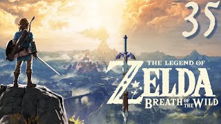 Zelda Breath of the Wild 35  Cleaning up Some Shrines [upl. by Arok]