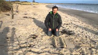 Sand dune succession model at Studland Bay with Barry and Ben The Geography Men [upl. by Grobe]