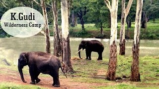 KGudi Wilderness Camp  Jungle Lodges and Resorts B R Tiger Reserve  India Ghoomo [upl. by Enyar]