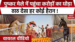 Pushkar Fair Horse Price पुष्कर पहुंचे दो करोड़ के घोड़े की ठाठ देख हर कोई हैरान Viral Video [upl. by Llenoil661]