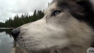 Northern Ontario Canoe Trip Wakasimi River Part 1 [upl. by Anavi]