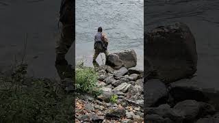 Its not easy to put a really big salmon in a net I ❤️ salmon fishing Vedder river Canada 🇨🇦 50 [upl. by Pellegrini286]