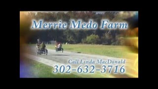 Merrie Medo Farm  Smyrna Delaware [upl. by Annoeik]