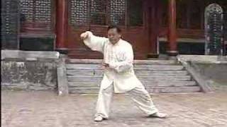 Chen Taijiquan Dalaojia Yilu wChen ShiTong Part 2 [upl. by Anohs800]