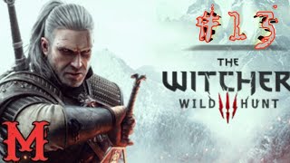 The Witcher 3  Part 13  Assisting a Fellow Witcher [upl. by Ycats]