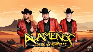 LOS ALAMEÑOS DE LA SIERRA  Popuri Cumbias Sierreñas 2024  Mix Moviditas Para Bailar [upl. by Siro847]