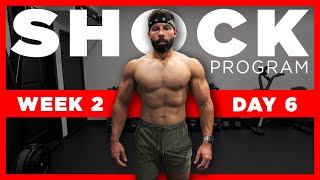 SHOCK Dumbbell Training Plan  DAY 6 UPPER PUSH WORKOUT [upl. by Neeloc]