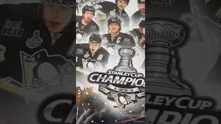 2009 Stanley cup champions Plaque [upl. by Nodlehs]