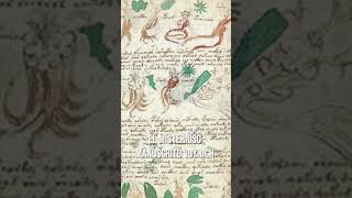 El Misterioso Manuscrito Voynich [upl. by Betthezel]