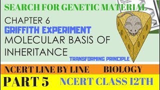 PART5 GRIFFITH EXPERIMENT  SEARCH FOR GENETIC MATERIAL  CHAPTER 6 NCERT CLASS 12TH BIOLOGY [upl. by Gerick]