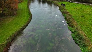 DJI Mini 4 Pro  River Test Hampshire [upl. by Namya742]