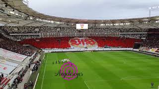 28102023  VfB ⚪️🔴 Choreo quot130 Jahre VfBquot bis 2160p4K [upl. by Lauretta]