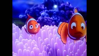 buscando a nemo Barracuda [upl. by Romona]