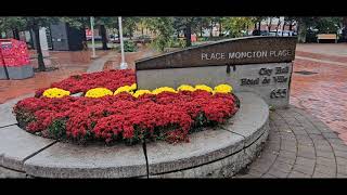 A Walking Tour of Downtown Moncton October 102024 [upl. by Noguchi]