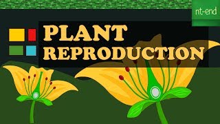 PLANT REPRODUCTION IN ANGIOSPERMAE biology reproduction plants [upl. by Gerson]