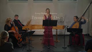 Telemann Triosonate BDur für Blockflöte Cembalo und Bcfor recorder harpsichord and bc LIVE [upl. by Mihcaoj]