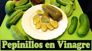 ¿Cómo hacer Pepinillos en Vinagre Las Recetas del Hortelano [upl. by Giaimo]