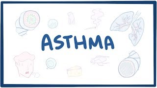 Asthma  causes symptoms diagnosis treatment pathology [upl. by Eimat947]