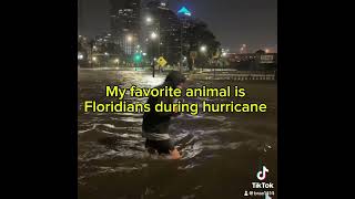 capcut florida floridahurricane Floridians foryou capcutedit edit ￼ [upl. by Olaf348]