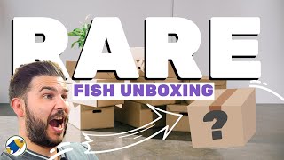 Unboxing My New Brackish Fish RARE [upl. by Tobi]