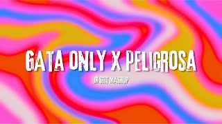 GATA ONLY X PELIGROSA FloyyMenor Jr Stit Mashup [upl. by Hedve]