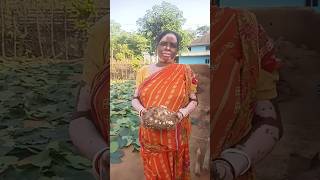 Elephant foot yam recipe plz support koro 🙏🙏shortsfeed cooking recipe viralvideo [upl. by Reinnej]