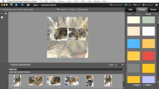 Creating and Sharing a Photo Collage with Photoshop Elements 10 [upl. by Olraced]