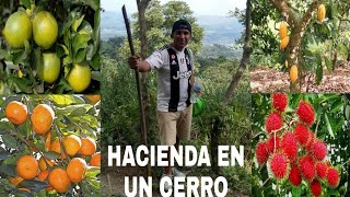 CONOCIENDO UNA HACIENDA EN UN CERRO DE PICHUCALCO CHIAPAS🍊🌾🌳🌄 [upl. by Fennie507]