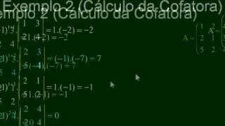 Matemática  Aula 21  Matriz Inversa  Parte 5 [upl. by Yrakcaz]