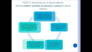 Funciones Esenciales en Salud Pública FESP OPS 2002 [upl. by Pentheas]