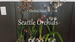 Orchid Haul Seattle Orchids [upl. by Avilo721]