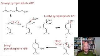 Terpene Biosynthesis [upl. by Changaris192]