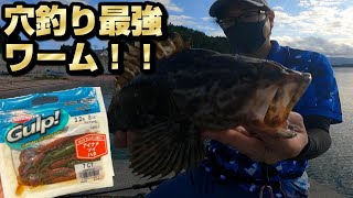 【根魚】穴釣りや根周りの釣りに最強！ガルプ「ファットホック」でオフシーズンのロックフィッシュも爆釣 [upl. by Llerdnod727]