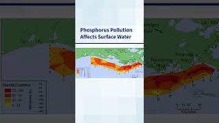 The Importance of Phosphorus Regulation [upl. by Lodi]