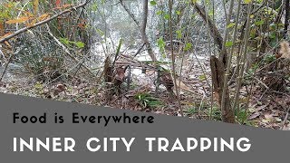 Trapping Food in the Inner City [upl. by Harlie]