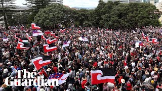 Thousands march on NZ parliament in protest against change to Māori treaty bill [upl. by Anerb173]