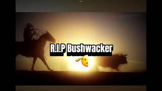 RIP Bushwacker 🫡 pbr [upl. by Mccready]