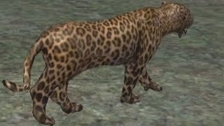 jungle sim leopard level 1922 [upl. by Ardua273]